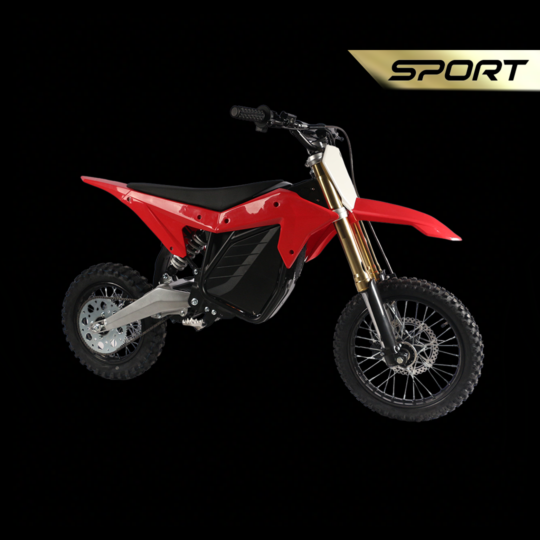 Electro & Co ETM™ RTR Sport