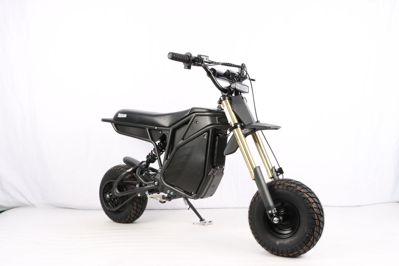 Electro & Co Rizzler Sport