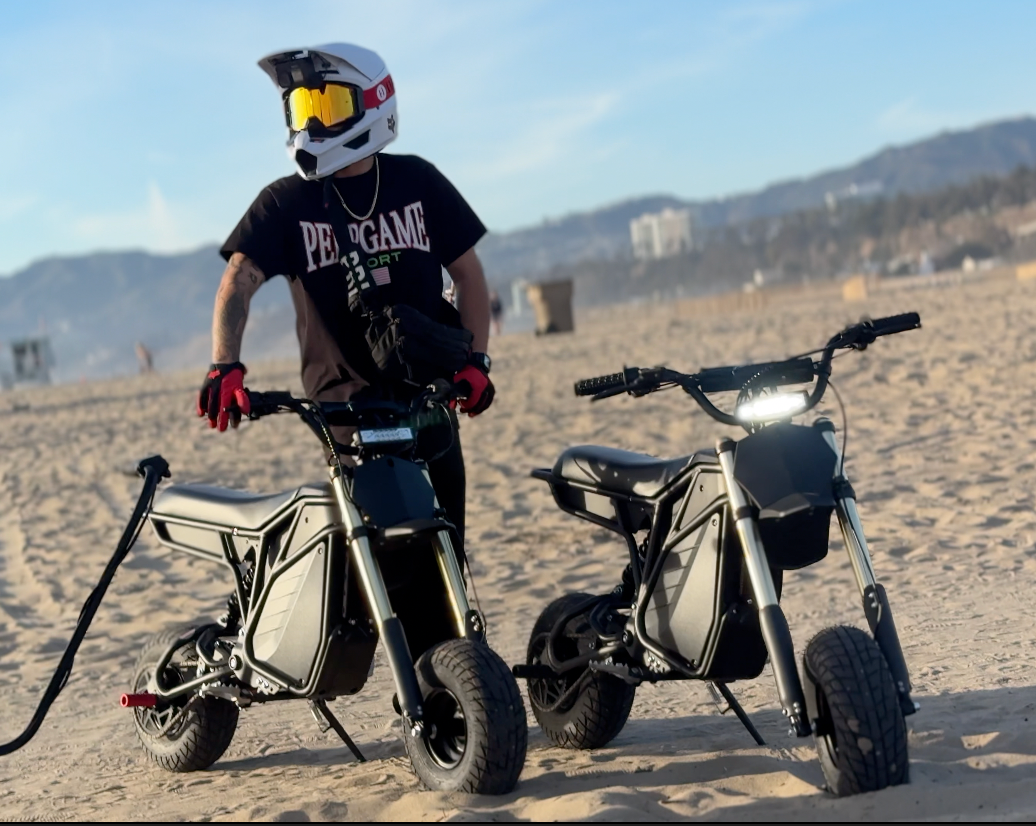 The Rizzler Bike