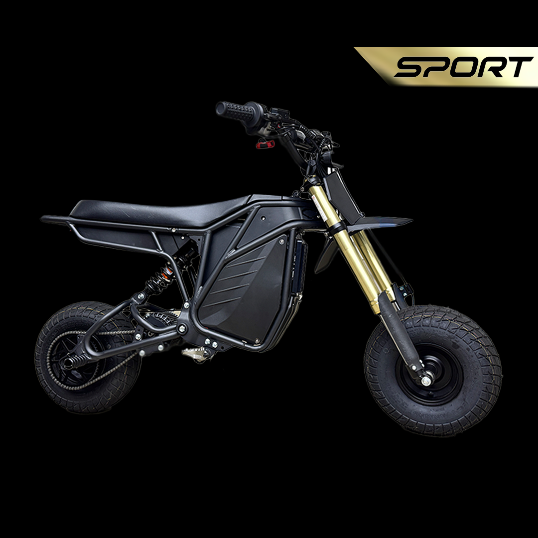 Electro & Co Rizzler Sport